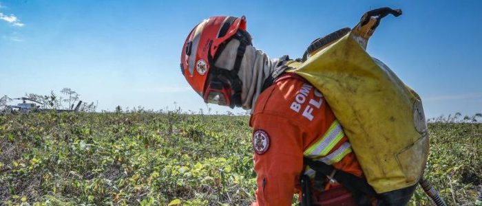 Corpo de Bombeiros combate 27 incêndios florestais nesta terça-feira (26)