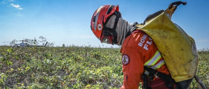 Bombeiros extinguem 2 incêndios florestais e combatem outros 3 neste domingo (3)