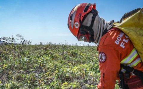 Corpo de Bombeiros extingue dois incêndios florestais e combate 19 nesta quarta-feira (20)