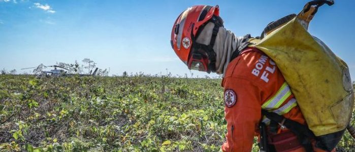 Corpo de Bombeiros extingue dois incêndios florestais e combate 19 nesta quarta-feira (20)