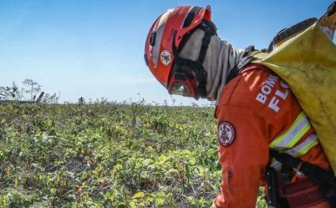Corpo de Bombeiros combate 7 incêndios florestais nesta terça-feira (12)