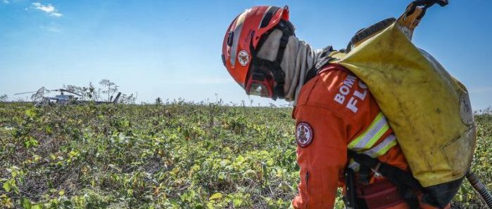 Corpo de Bombeiros combate 7 incêndios florestais nesta terça-feira (12)