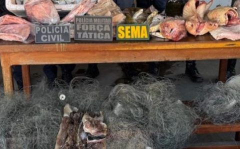 Polícias Civil e Militar prendem empresário e apreendem 77 kg de pescado ilegal