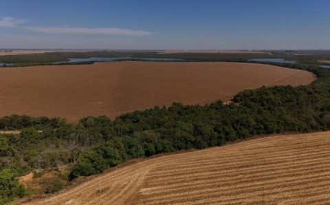 MT:  Aprosoja MT ressalta a importância de capacitar equipes para o período da estiagem