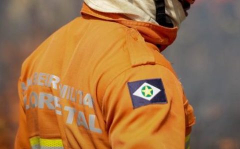 Corpo de Bombeiros extingue quatro incêndios florestais e combate 12 nesta quinta-feira (21)