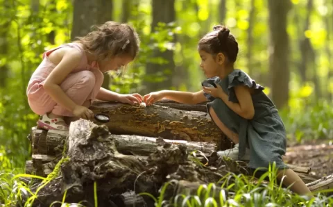 Morar perto de áreas verdes favorece desenvolvimento cognitivo infantil