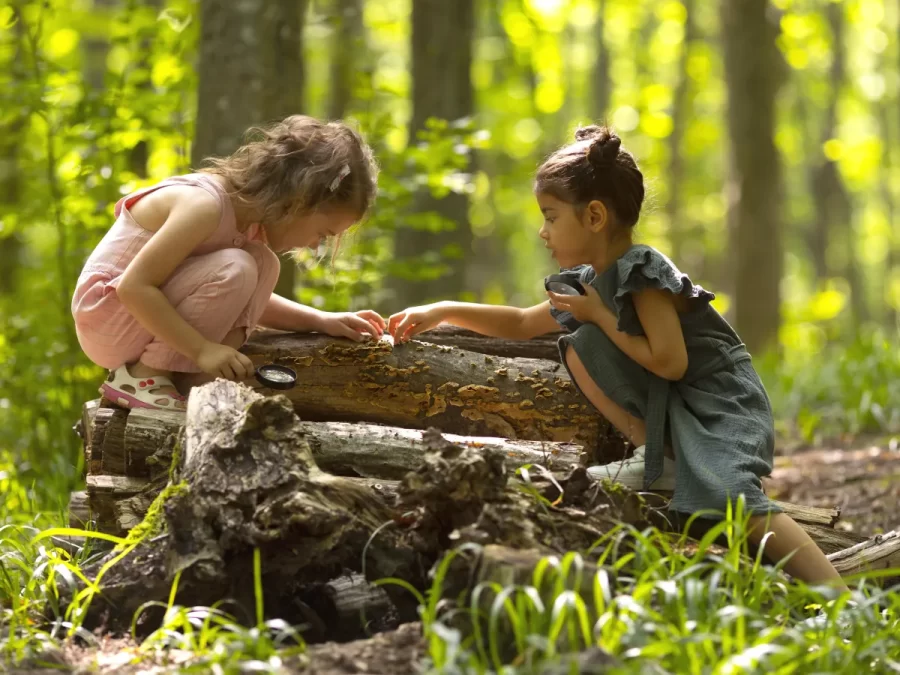 Morar perto de áreas verdes favorece desenvolvimento cognitivo infantil