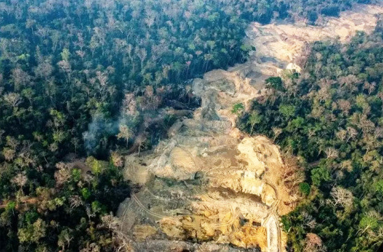 MEIO AMBIENTE:  Confronto durante operação na TI Sararé deixa um morto