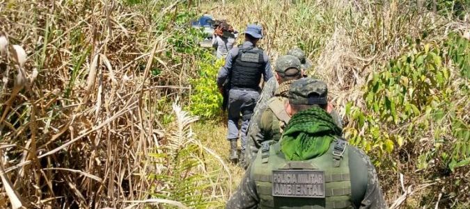 Polícia Militar fecha área de desmatamento ilegal em fazenda e prende três homens em flagrante