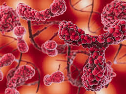 Biologia na Unicamp: descubra quais são os tópicos que mais caem