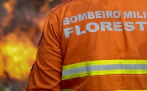 Corpo de Bombeiros extingue dois incêndios florestais e combate 24 neste domingo (24)
