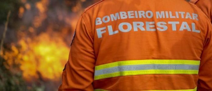 Corpo de Bombeiros extingue dois incêndios florestais e combate 24 neste domingo (24)