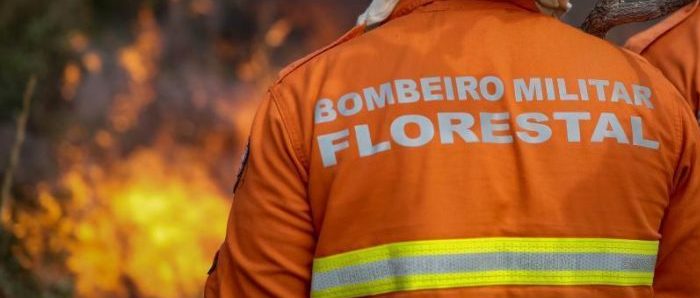 Corpo de Bombeiros extingue três incêndios florestais e combate quatro neste sábado (9)