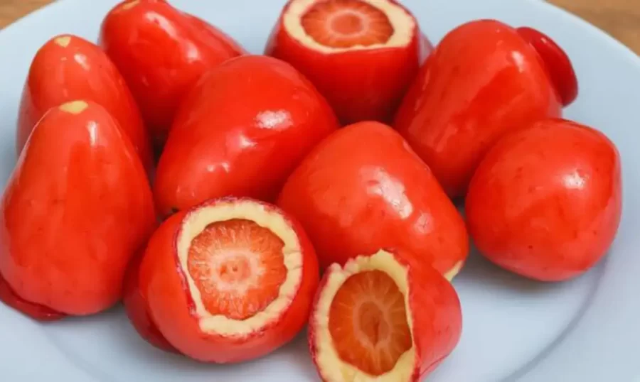 Conselho Federal de Odontologia alerta sobre riscos do morango do amor