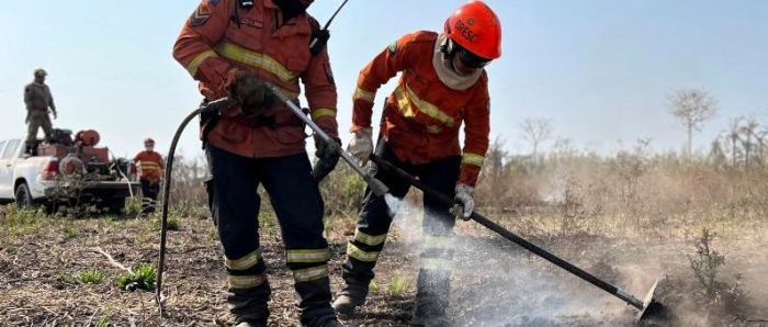 Corpo de Bombeiros extingue 3 incêndios florestais e combate 8 nesta quarta-feira (13)