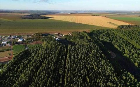 Câmara aprova prorrogação para regularização de imóveis em faixa de fronteira e Famato celebra conquista para produtores