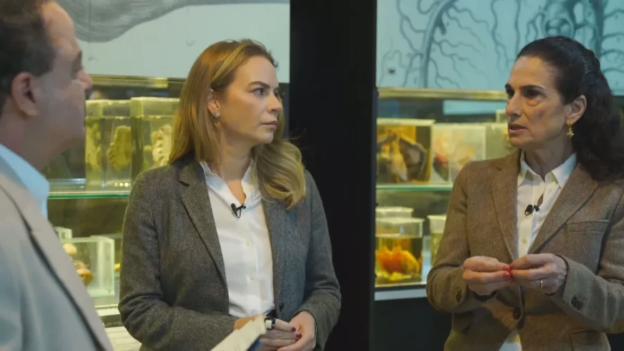 Dr. Kalil: Dificuldade no diagnóstico da fibromialgia é desafio