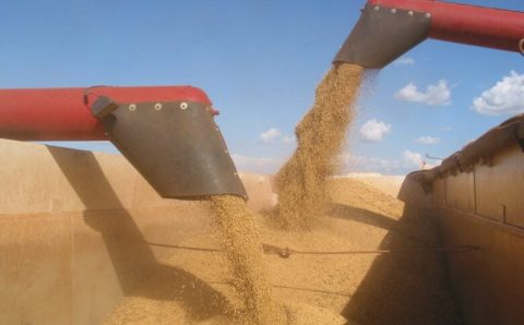 CADE suspende efeitos da Moratória da Soja após pedido da CNA; Famato ressalta relevância da decisão para produtores de MT