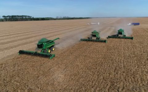 Agro brasileiro bate recordes e reforça sustentabilidade