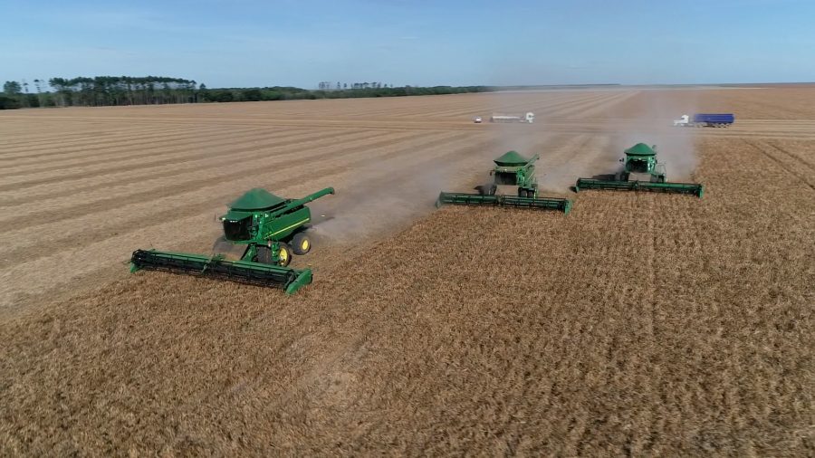 Agro brasileiro bate recordes e reforça sustentabilidade