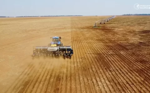 MT:   À espera de chuva, plantio de soja engatinha em Mato Grosso