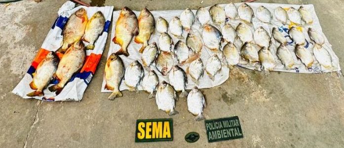 Polícia Militar e Sema apreenderam 47 quilos de pescado em Barão de Melgaço