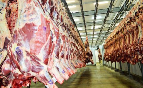 MT:  MESMO COM CHANTAGEM DE TRUMP:   Apesar do tarifaço dos EUA, exportação de carne bate recorde em MT