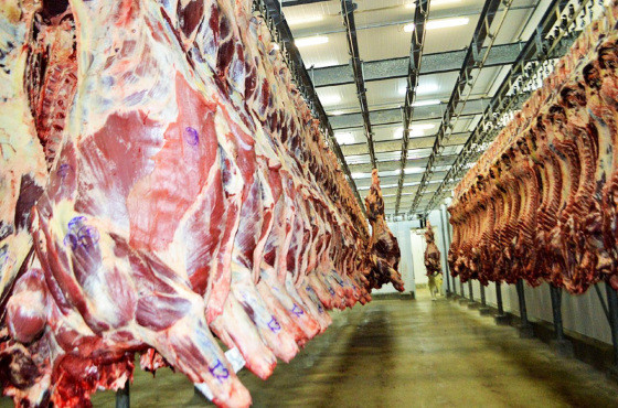 MT:  MESMO COM CHANTAGEM DE TRUMP:   Apesar do tarifaço dos EUA, exportação de carne bate recorde em MT