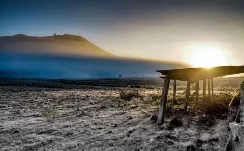 Governo abre crédito de R$ 12 bilhões para produtores rurais