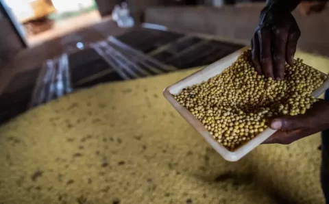 MT:   Sorriso, no MT, tem maior PIB agrícola do país; veja o ranking