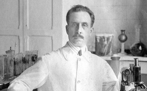 Doença de Chagas avança nos EUA e põe autoridades em alerta