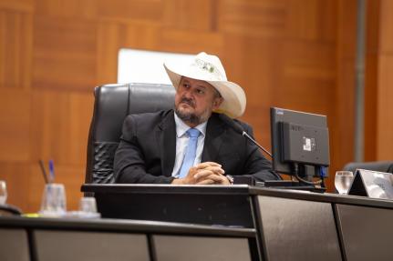 AL aprova comissão temporária contra o feminicídio em MT