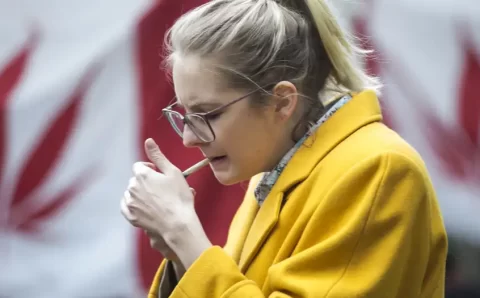 Maconha pode comprometer fertilidade da mulher, diz estudo