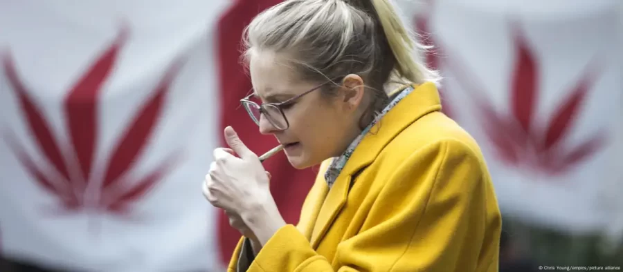 Maconha pode comprometer fertilidade da mulher, diz estudo