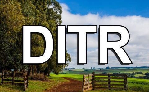 Declaração do ITR 2025 deve ser entregue até 30 de setembro; veja quem precisa declarar