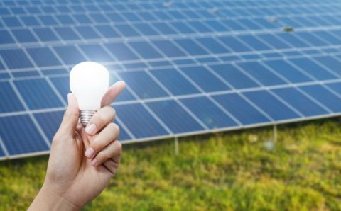 Energia solar: tendências e futuro do mercado