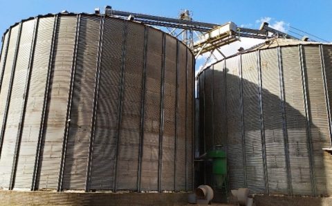 Armazenamento de grãos: como ciência e tecnologia garantem qualidade e eficiência