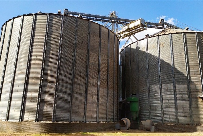 Armazenamento de grãos: como ciência e tecnologia garantem qualidade e eficiência