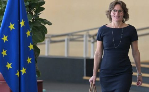 UE deve adiar novamente lei histórica contra desmatamento, aponta Bloomberg