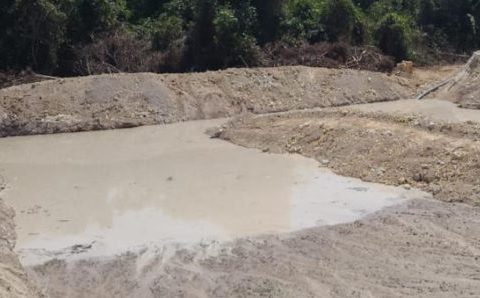 Batalhão Ambiental da PM fecha garimpo e local de extração ilegal de madeira em duas cidades
