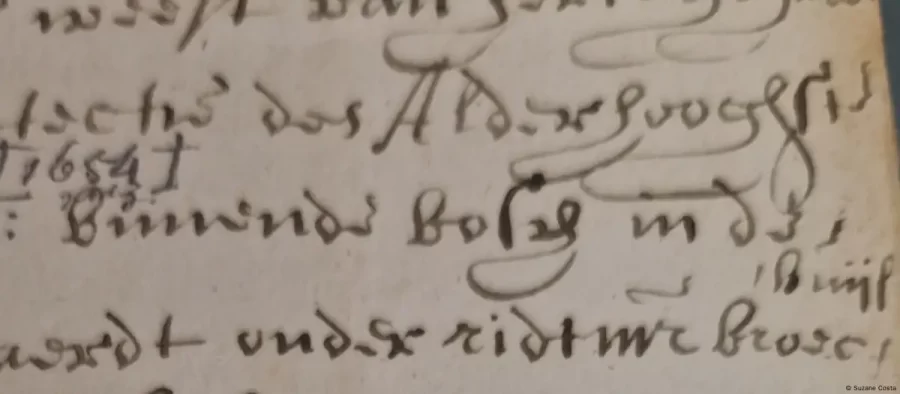 Brasileiros buscam cartas indígenas em arquivos da Europa