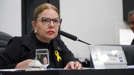 Para evitar descontos no salário, Câmara fará sessão extraordinária