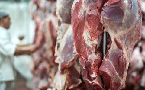 MT:  81 países importam carne bovina de Mato Grosso; China lidera compradores
