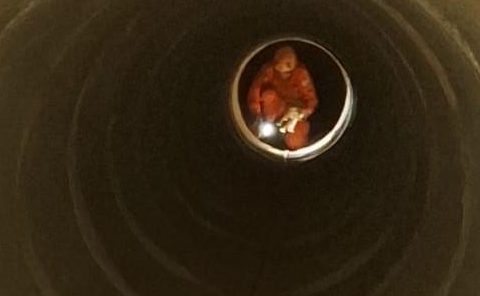 Bombeiros resgatam filhote de cachorro que estava preso em bueiro