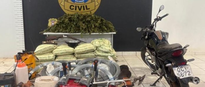 Polícia Civil localiza e incinera plantação de maconha em operação em Tangará da Serra