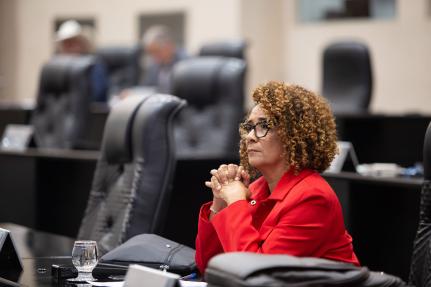 Deputada se defende e diz que ‘acordo faz parte da política’