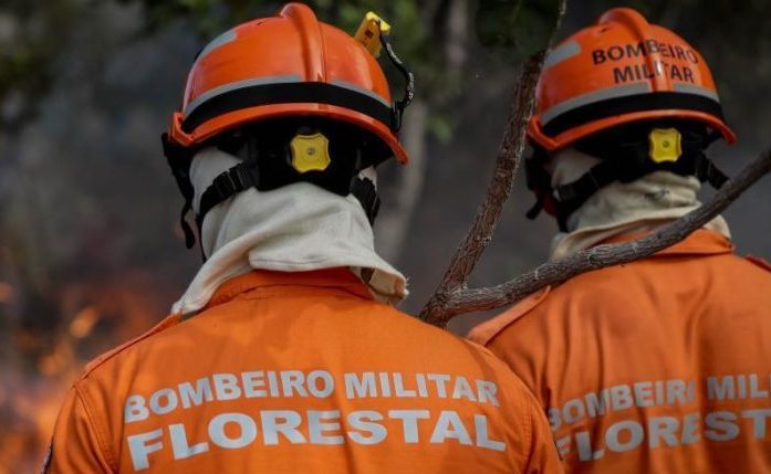Corpo de Bombeiros combate 41 incêndios florestais neste sábado (6)