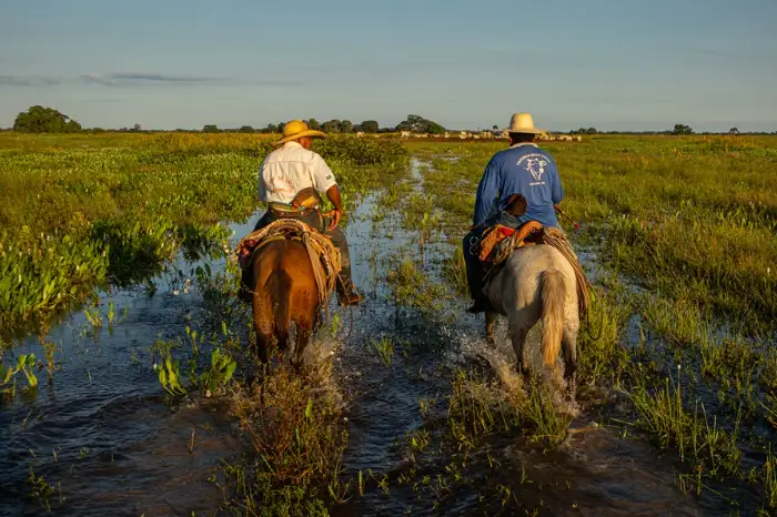 Entre cheias, secas e ciência, o Pantanal em transformação