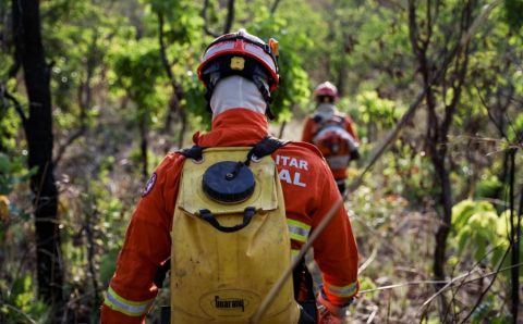 Corpo de Bombeiros combate 12 incêndios florestais neste domingo  (19)