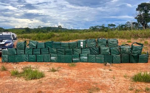 Forças de segurança apreendem 35 toneladas de drogas em 2025 em Mato Grosso